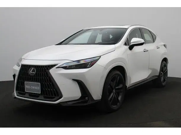2024 Lexus NX350 in UAE