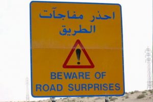 UAE Car Lovers, Check Out these Unusual Road Signs Around the World. 