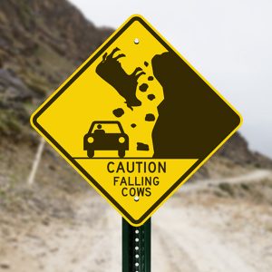 UAE Car Lovers, Check Out these Unusual Road Signs Around the World. 