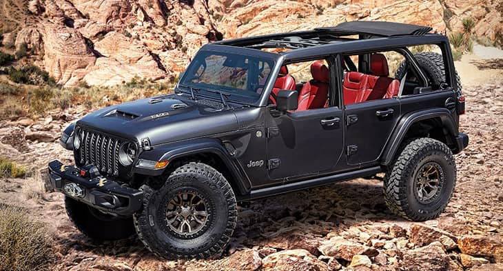 Rubicon vehicle hot sale